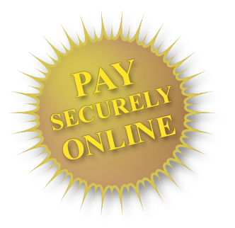 Taxman secure online payment